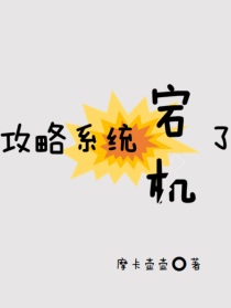 攻略系统宕机了