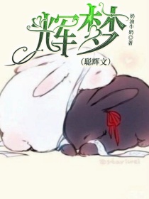 辉梦