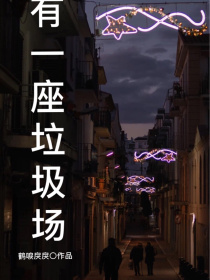 我有一座垃圾场