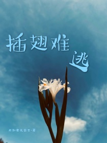 插翅难逃