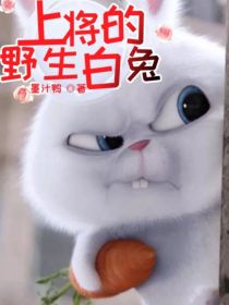 上将的野生白兔