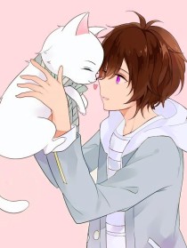 捡到一只him猫