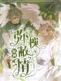 原神：弥槐敝情