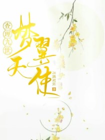 查理九世梦翼天使