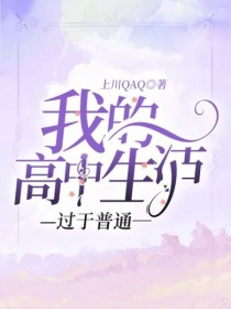 我的高中生活过于普通