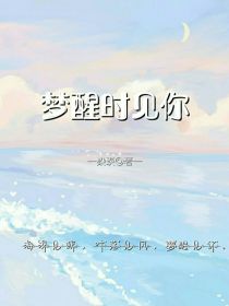 乐高幻影忍者：梦醒时见你