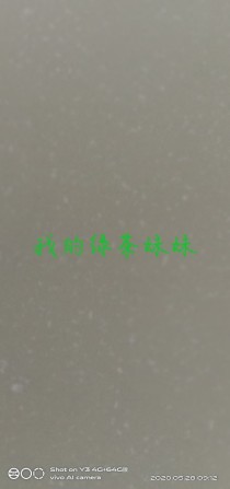 绿茶妹妹