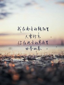 校花总裁太霸道