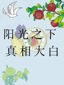 阳光之下，真相大白新版