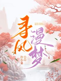 寻风漫梦
