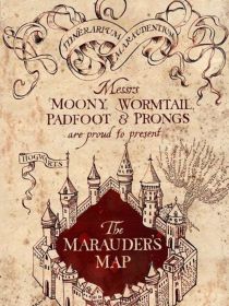 哈利波特之团宠妹妹