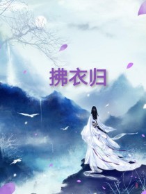 拂衣归