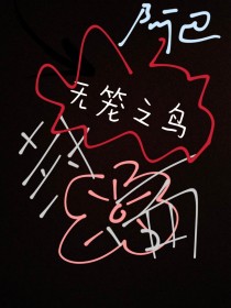 无笼之鸟