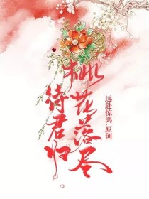 桃花落尽待君归