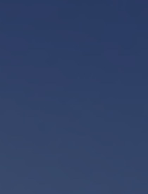 暖心小甜文：岁岁念君安