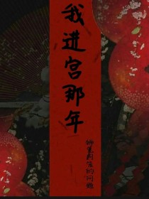 我进宫那年
