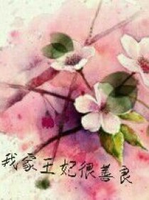 我家王妃很善良