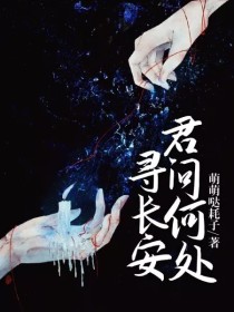 君问何处寻长安