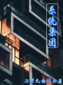 系统集团