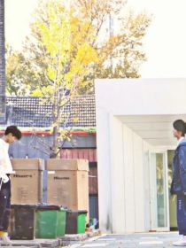 卡布奇诺玫瑰的归属