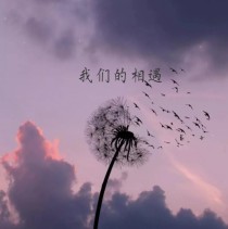 SNH48：我们的相遇