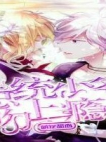 萌宠甜心：总统少年吻上瘾