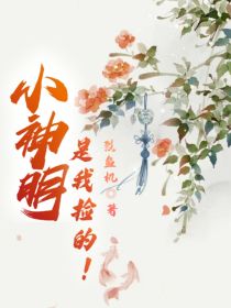 小神明是我捡的！