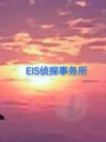 EIS侦探事务所