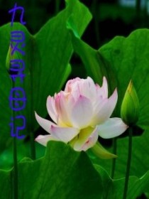 九灵寻母记