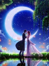 斗龙战士的恋语