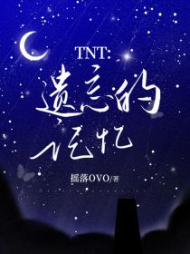 TNT：遗忘的记忆