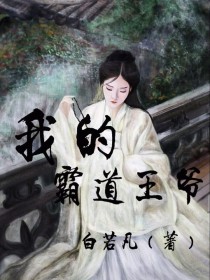 我的霸道王爷！