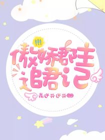 傲娇郡主追君记