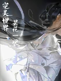 完美：昙花一现