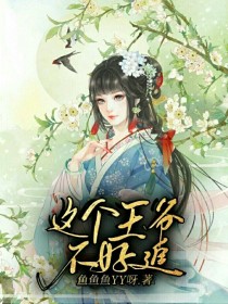 这个王爷不好追