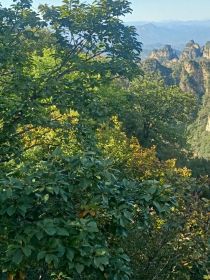 最终幻想14（重制版）