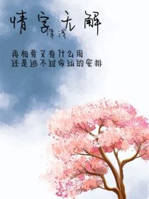 情字深浅无解