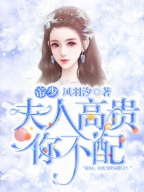 风月鸾凤