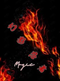 幻影忍者：Magic