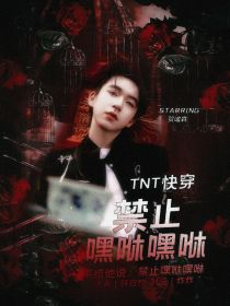 TNT—快穿：禁止嘿咻嘿咻