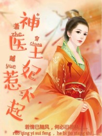 宸王妃传