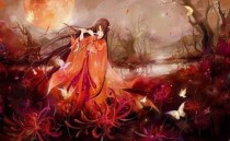 穿越之逆天五小姐~