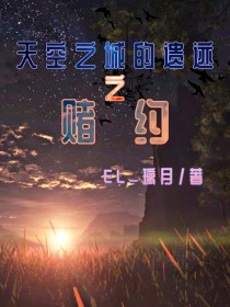 天空之城遗迹的秘密之赌约