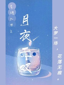 查理九世：月夜无双