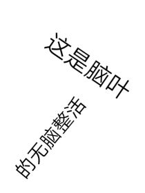 脑叶公司……吗？