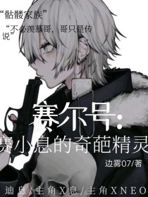 赛尔号之赛小息的奇葩精灵