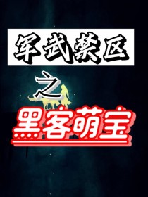 军武禁区之黑客萌宝