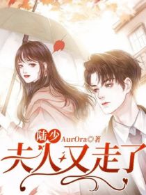 陆少，夫人又走了