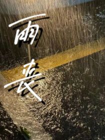 雨丧
