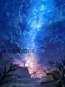 星落阁回归自